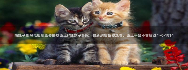 还珠格格第二部西瓜影院