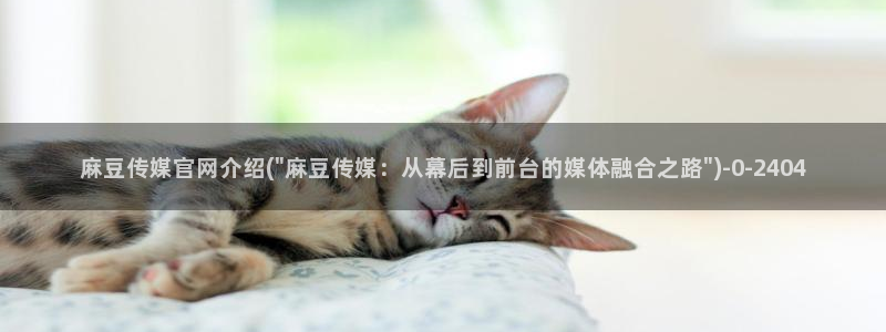麻豆传媒影院官网：麻豆传媒官网介绍(\