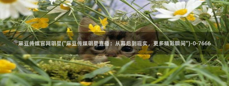 麻豆视传媒官网进入：麻豆传媒官网明星(\