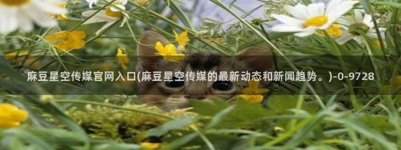 麻豆传媒官网映画：麻豆星空传媒官网入口(麻豆星空传媒的最新动态和新闻趋势。)