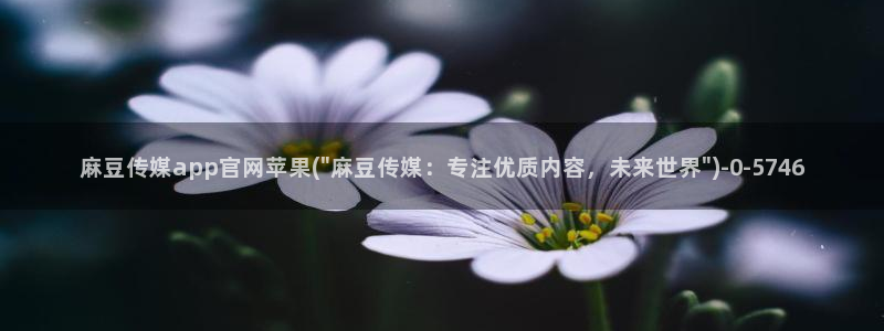 麻豆床传媒官网应聘：麻豆传媒app官网苹果(\