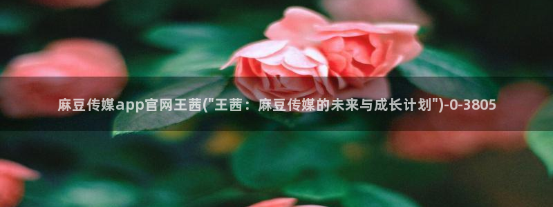 麻豆影片传媒官网：麻豆传媒app官网王茜(\