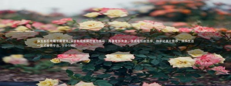 麻豆传媒官网怎么找到：麻豆影视传媒下载官网(麻豆影视传媒的官方网站：海量电影资源、优质电视剧选择、独家纪录片推荐、娱乐生活一站式服务平台。)