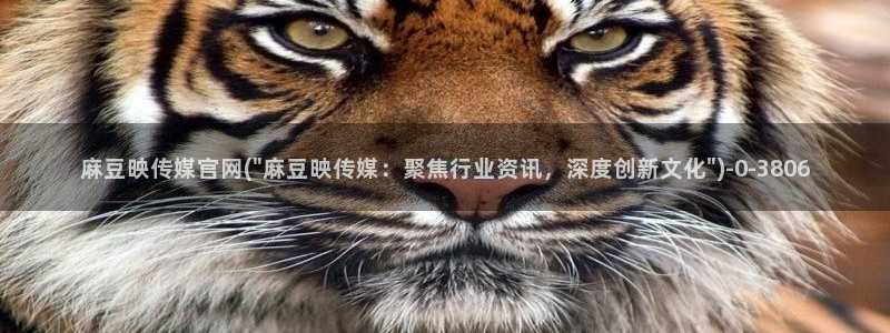 麻豆传媒官网女主：麻豆映传媒官网(\