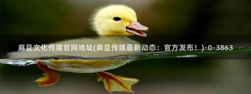 mdpud麻豆传媒官网观看：麻豆文化传媒官网地址(麻豆传媒最新动态：官方发布！)