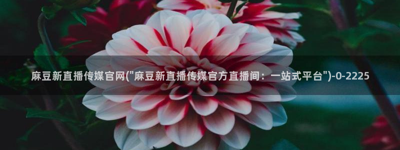 麻豆传媒网站官网：麻豆新直播传媒官网(\