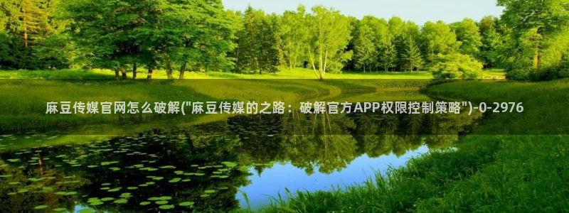 麻豆传媒官网是多少：麻豆传媒官网怎么破解(\