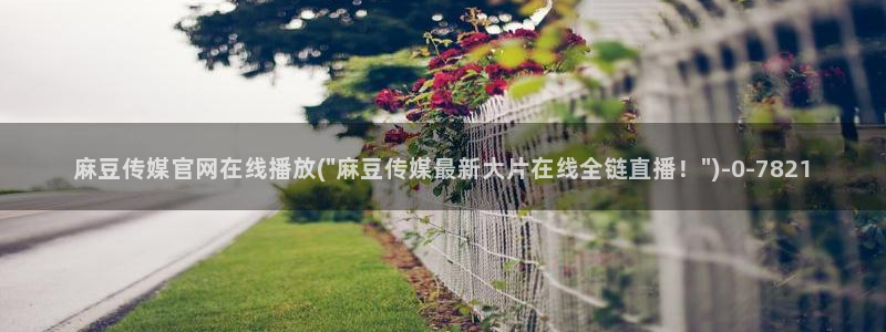 台麻豆传媒app官网：麻豆传媒官网在线播放(\