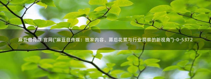 麻豆啊传媒官网：麻豆自传媒 官网(\