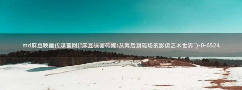 麻豆映传媒官网：md麻豆映画传媒官网(\