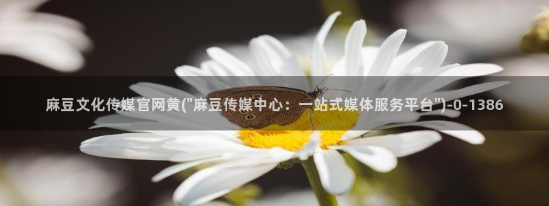 麻豆啊传媒官网观看：麻豆文化传媒官网黄(\