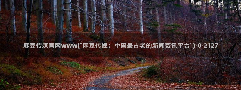 免费麻豆传媒官网：麻豆传媒官网www(\