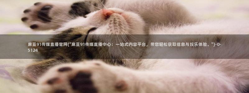 麻豆音画传媒官网：麻豆91传媒直播官网(\