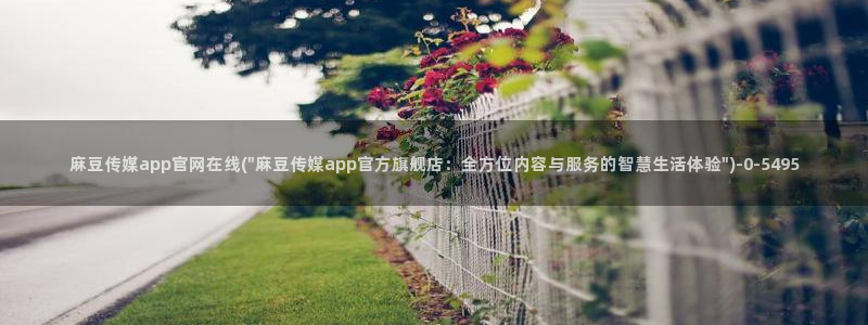 91麻豆传媒官网APP：麻豆传媒app官网在线(\