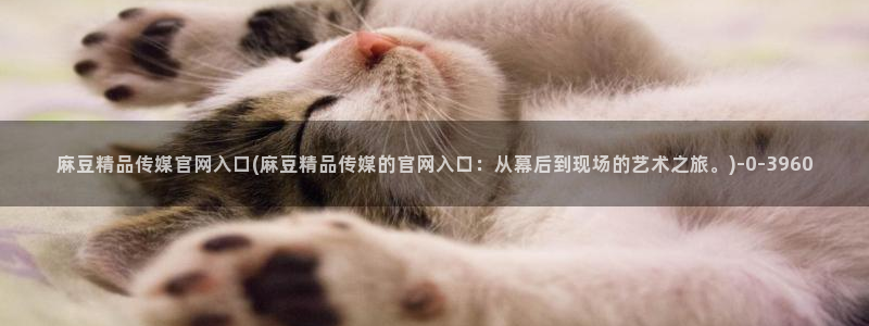 麻豆自传媒 官网：麻豆精品传媒官网入口(麻豆精品传媒的官网入口：从幕后到现场的艺术之旅。)
