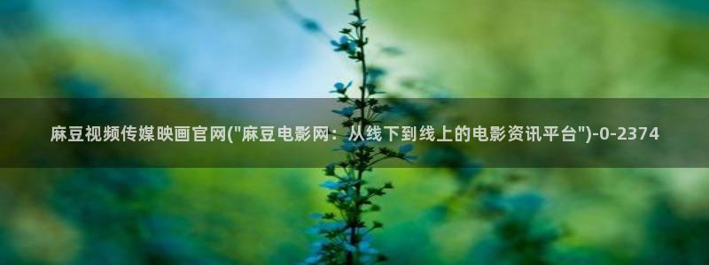 麻豆传媒官网免费观看