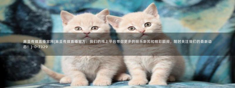 麻豆传媒漫画官网