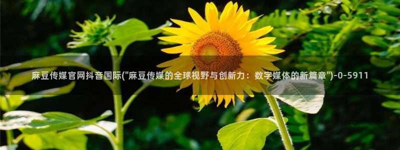 麻豆文化传媒官网ios