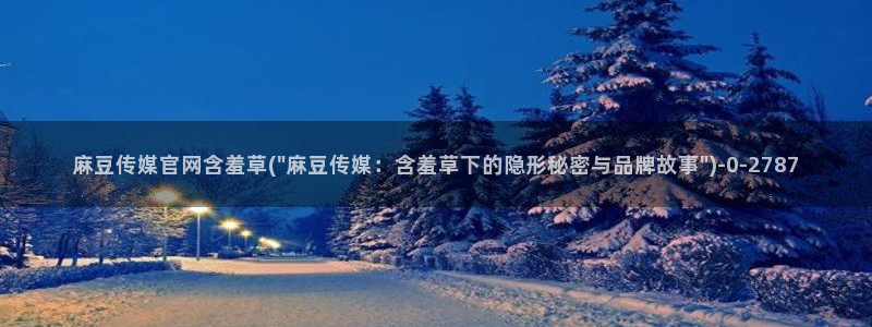 mdpub麻豆传媒官网