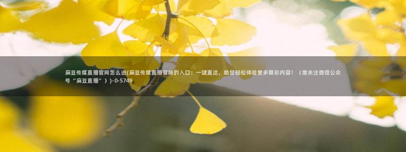 国产之光 麻豆传媒官网