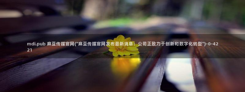 麻豆传媒官网官方