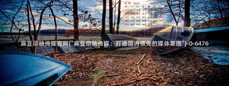 麻豆传媒官网公司