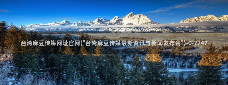 麻豆传媒下载官网入口