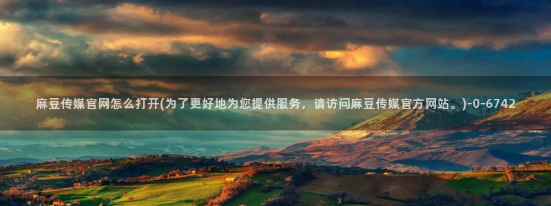 麻豆视传媒 官网入口