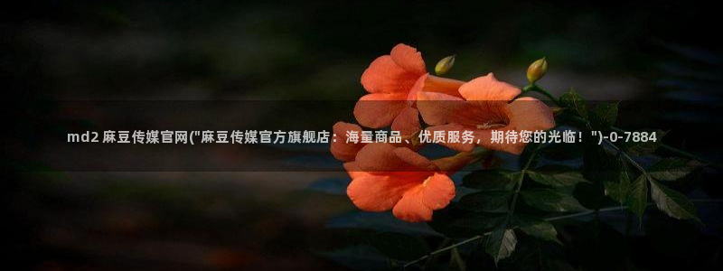 麻豆传媒官网001：md2 麻豆传媒官网(\