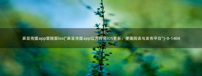 麻豆啊传媒官网：麻豆传媒app官网版ios(\